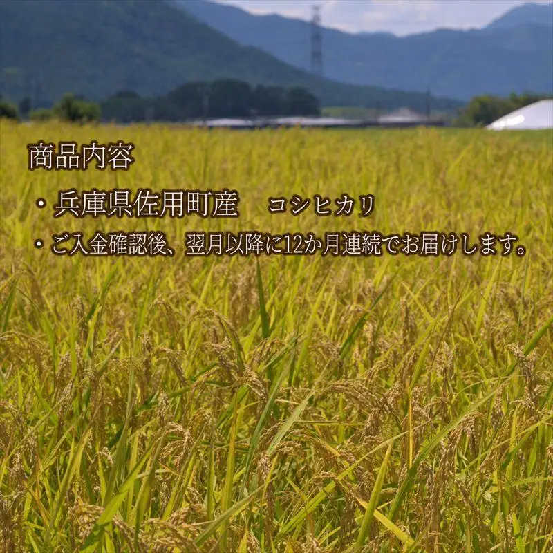【12ヵ月定期便】兵庫県佐用町産 お米 5kg×12ヵ月 (計60kg)  精米 コシヒカリ