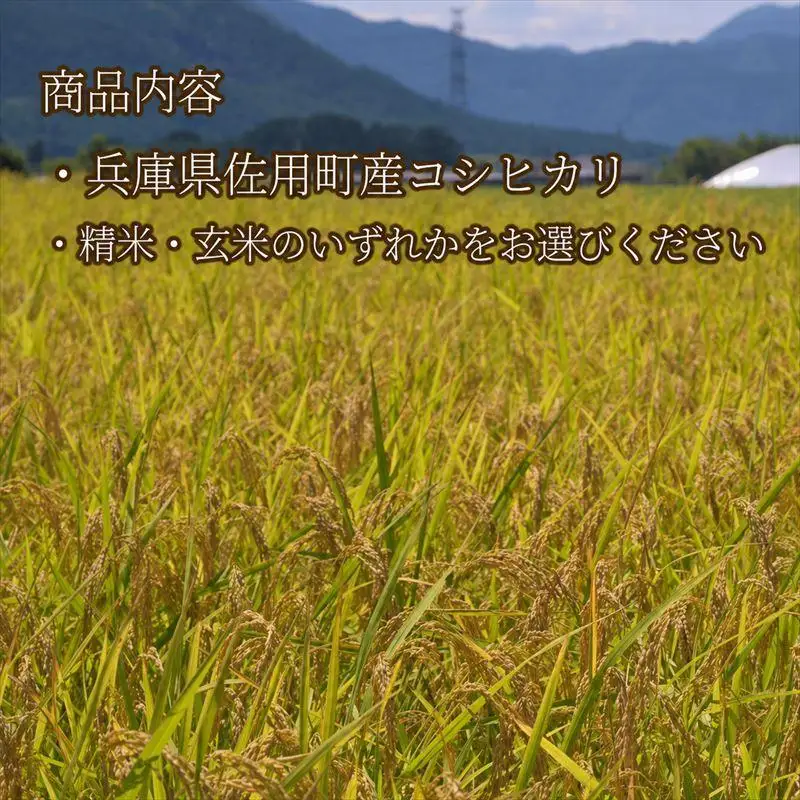 【兵庫県佐用町産】さよひめ営農のお米 5kg コシヒカリ/玄米