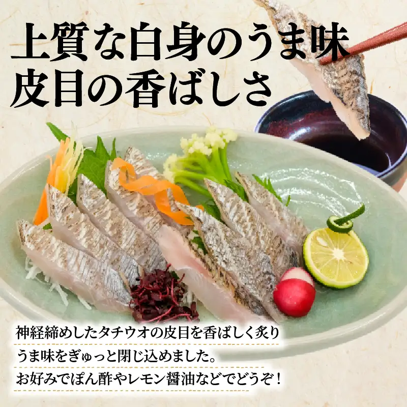 タチウオ炙り 3パック(50g×3) 太刀魚 タチウオ 刺身 神経締め