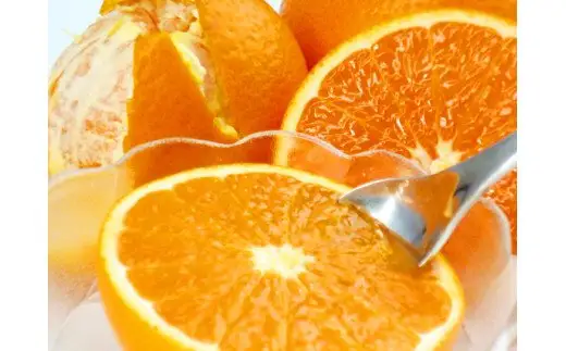 とにかくジューシー 清見 オレンジ 5kg / 果物 柑橘 甘い 果物 和歌山 ※2027年3月下旬頃〜4月下旬頃発送 【uot710-2】