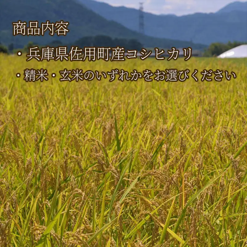 【兵庫県佐用町産】さよひめ営農のお米 15kg コシヒカリ/玄米