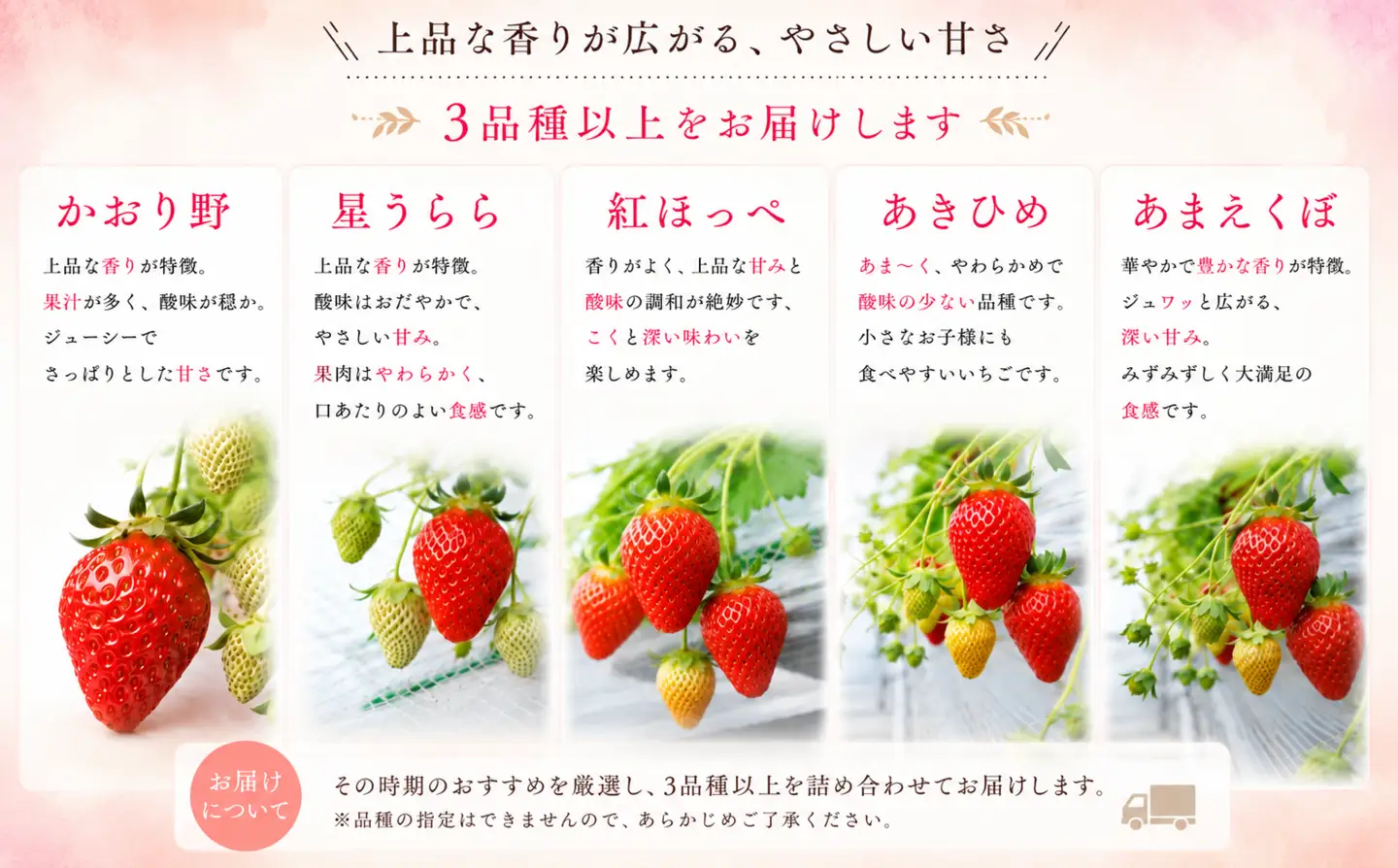【訳あり】いちご 先行予約 1200g 300g × 4 イチゴ いちご