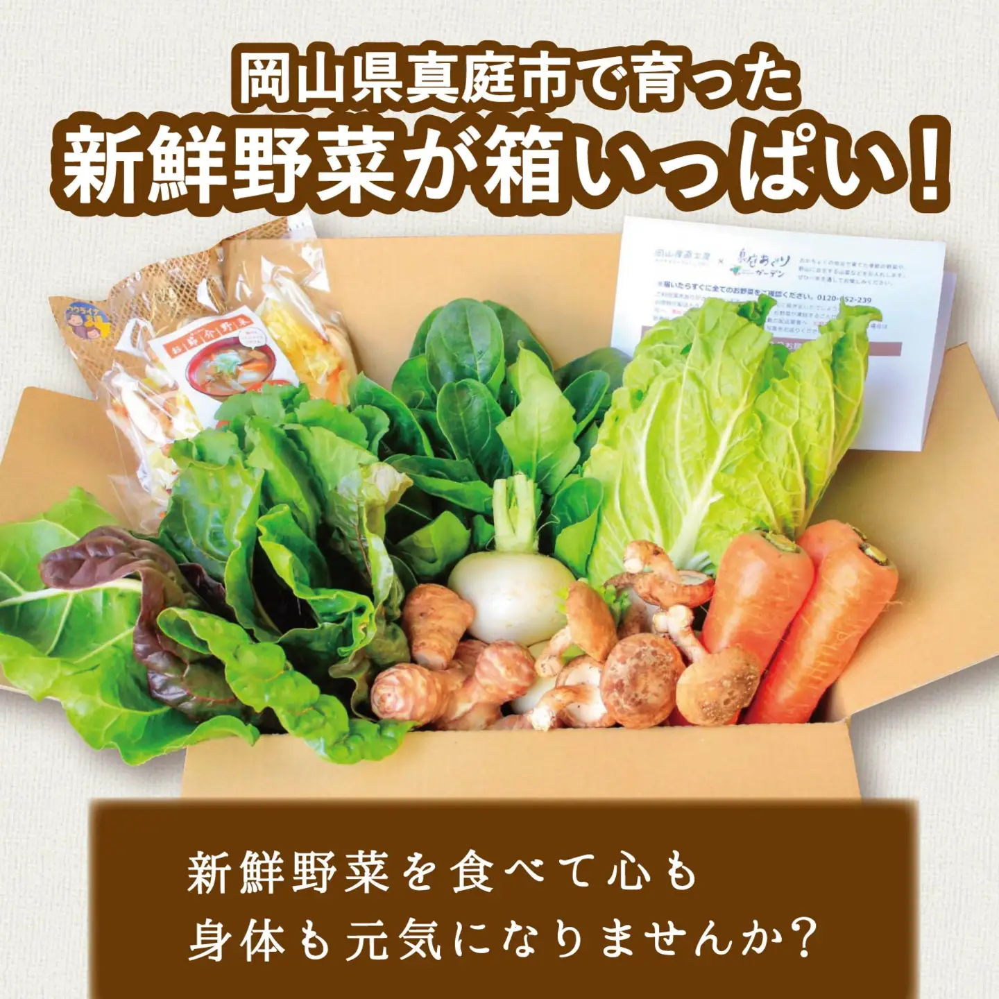 まにわの野菜 真庭あぐり野菜セット 7～8品 カット野菜入り 平飼い卵付き  / 詰め合わせ 産地直送 岡山県 真庭市 新鮮 あぐりガーデン 産直工房 国産【配送不可地域：北海道／沖縄県／離島】【jujy054-01】