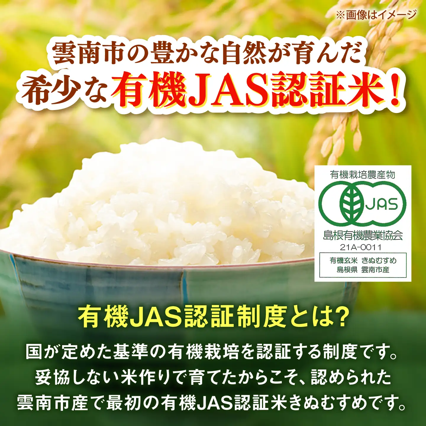【有機JAS認証】有機栽培米きぬむすめ 3kg 令和7年産 精米 白米 島根県雲南市/佐藤ファーム[AIEO001]