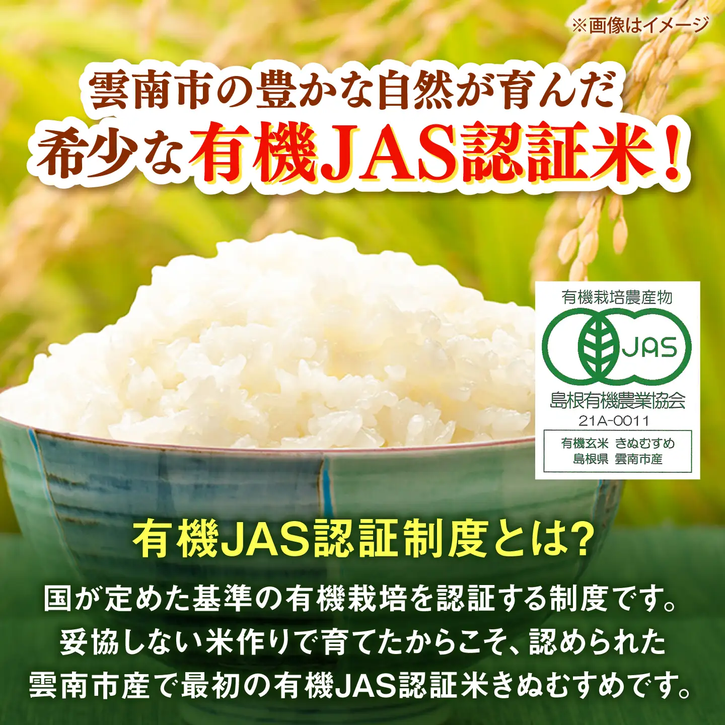 【有機JAS認証】【令和8年産 新米予約】有機栽培米 雲南市産きぬむすめ 10kg  [AIEO003]