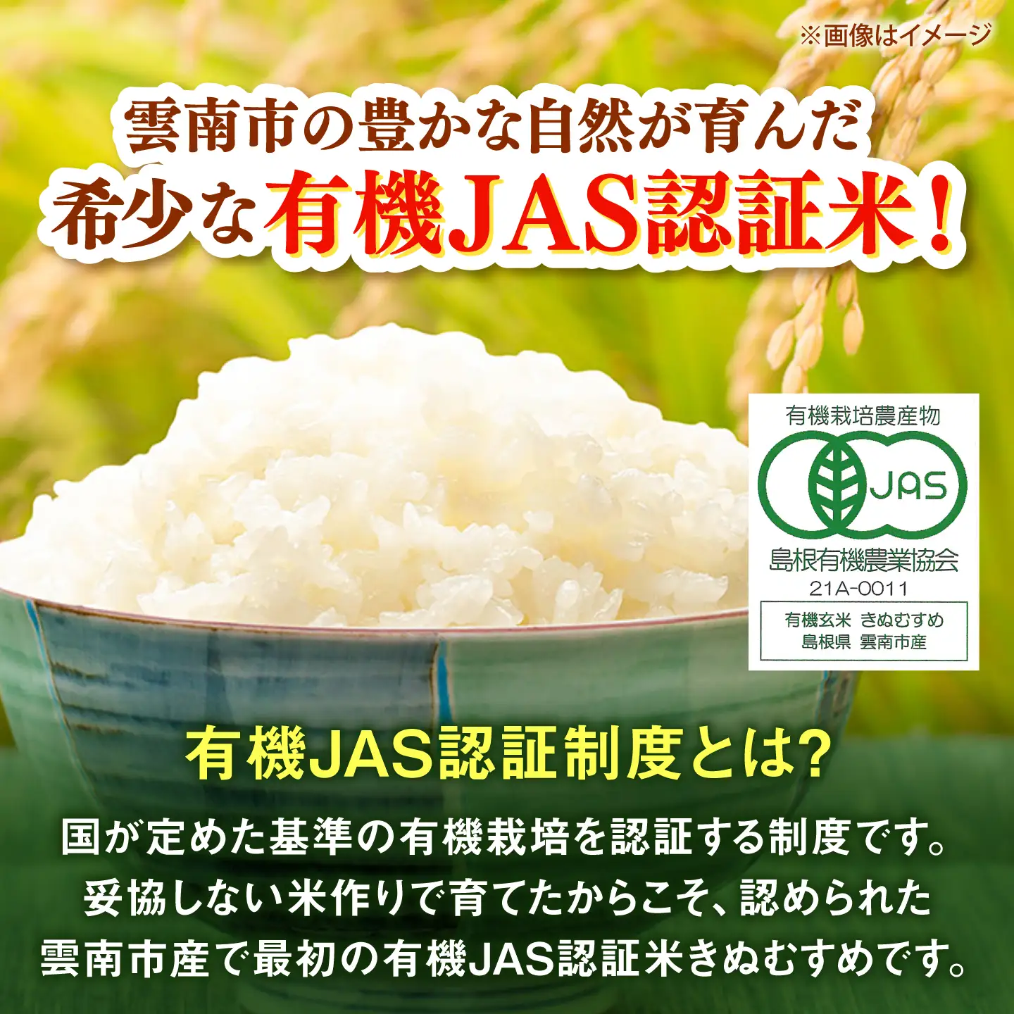 【有機JAS認証】有機栽培米きぬむすめ 30kg 令和7年産 精米 白米 島根県雲南市/佐藤ファーム[AIEO004]