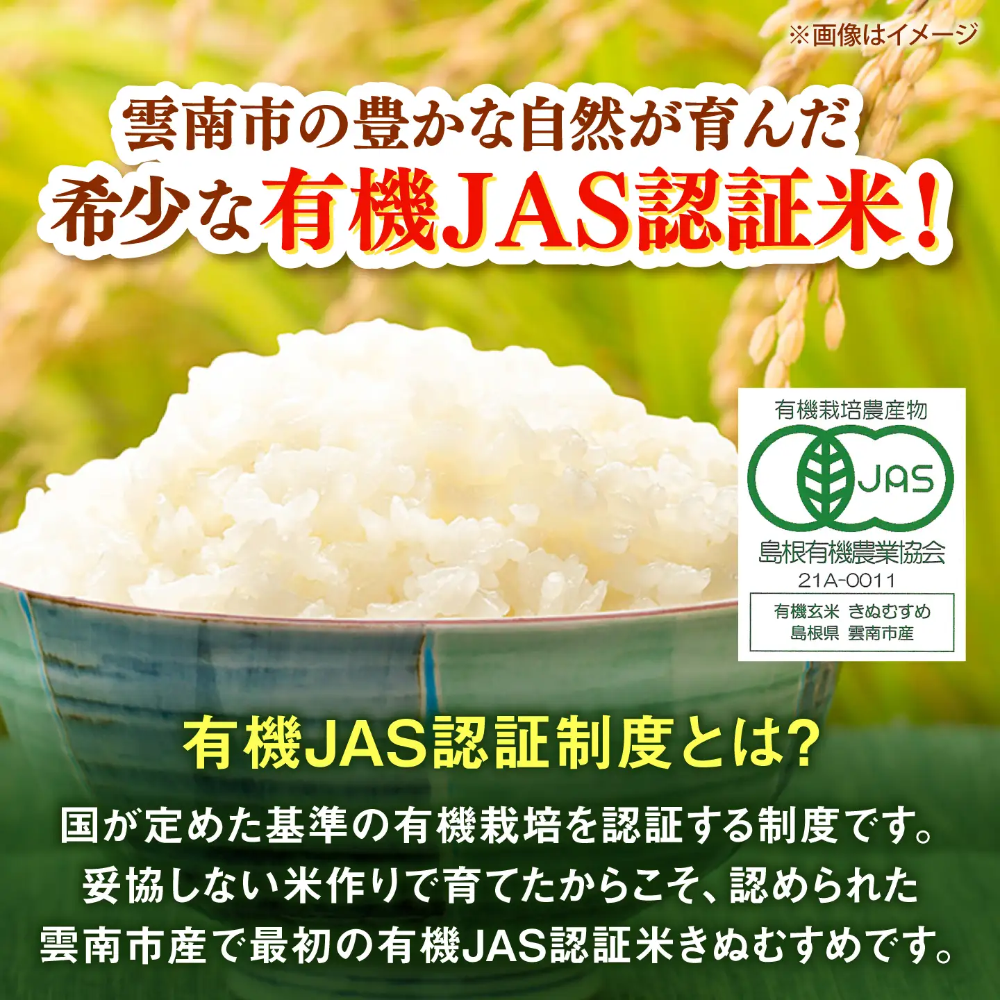 【有機JAS認証】有機栽培米きぬむすめ 3kg 令和7年産 玄米 島根県雲南市/佐藤ファーム[AIEO005]