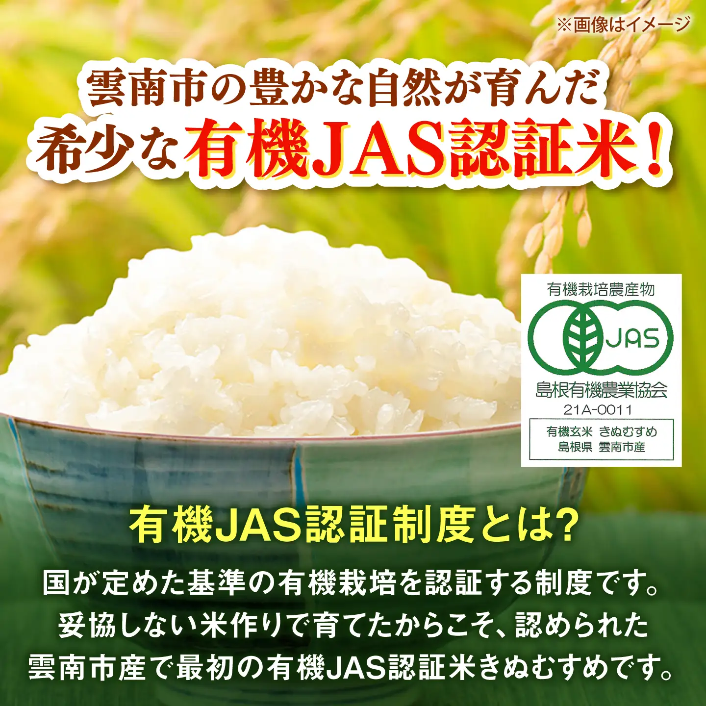 【有機JAS認証】有機栽培米きぬむすめ 5kg 令和7年産 玄米 島根県雲南市/佐藤ファーム[AIEO006]