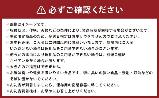 岩手県二戸市産 舌崎りんご サンふじ ・ シナノゴールドと令和8年産 いわてっこ 5kg 精米セット ／ りんご リンゴ アップル 果物 果実 フルーツ 甘味 酸味 歯ごたえ ビタミン ミネラル 新米 米 お米 白米 ご飯 飯 こめ コメ 国産 岩手県産 【 2026年12月発送予定 】