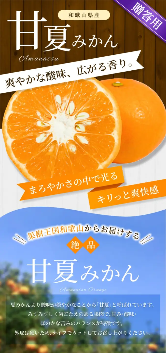 みかん 【贈答用】 甘夏みかん 約2kg 】【BV-mrmt102】