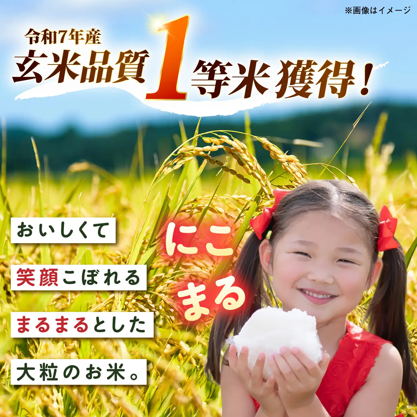 【全3回定期便】 にこまる 玄米品質1等米 白米 5kg 糸島市産 糸島市 / 糸島の恵み コメ こめ ご飯[AGR008]