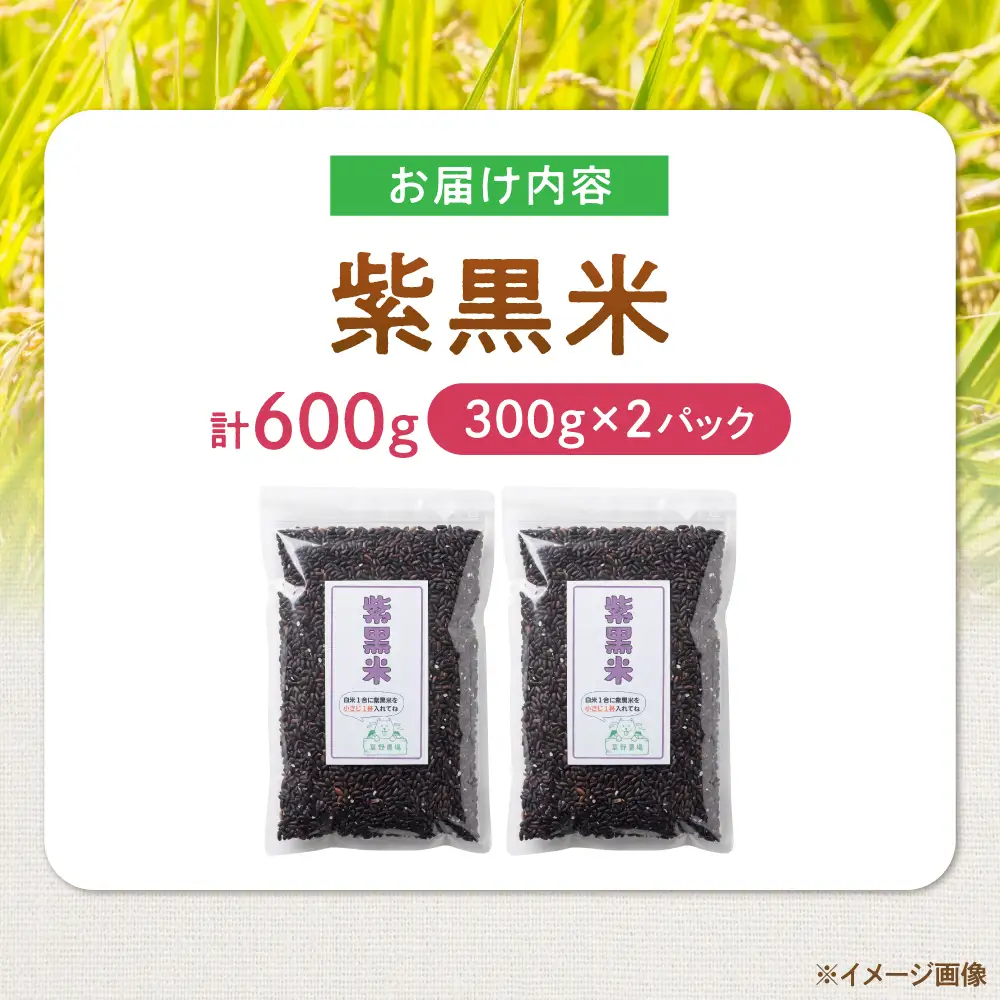 紫黒米 600g（300g×2） 滋賀県長浜市/草野農場[AQDT019]