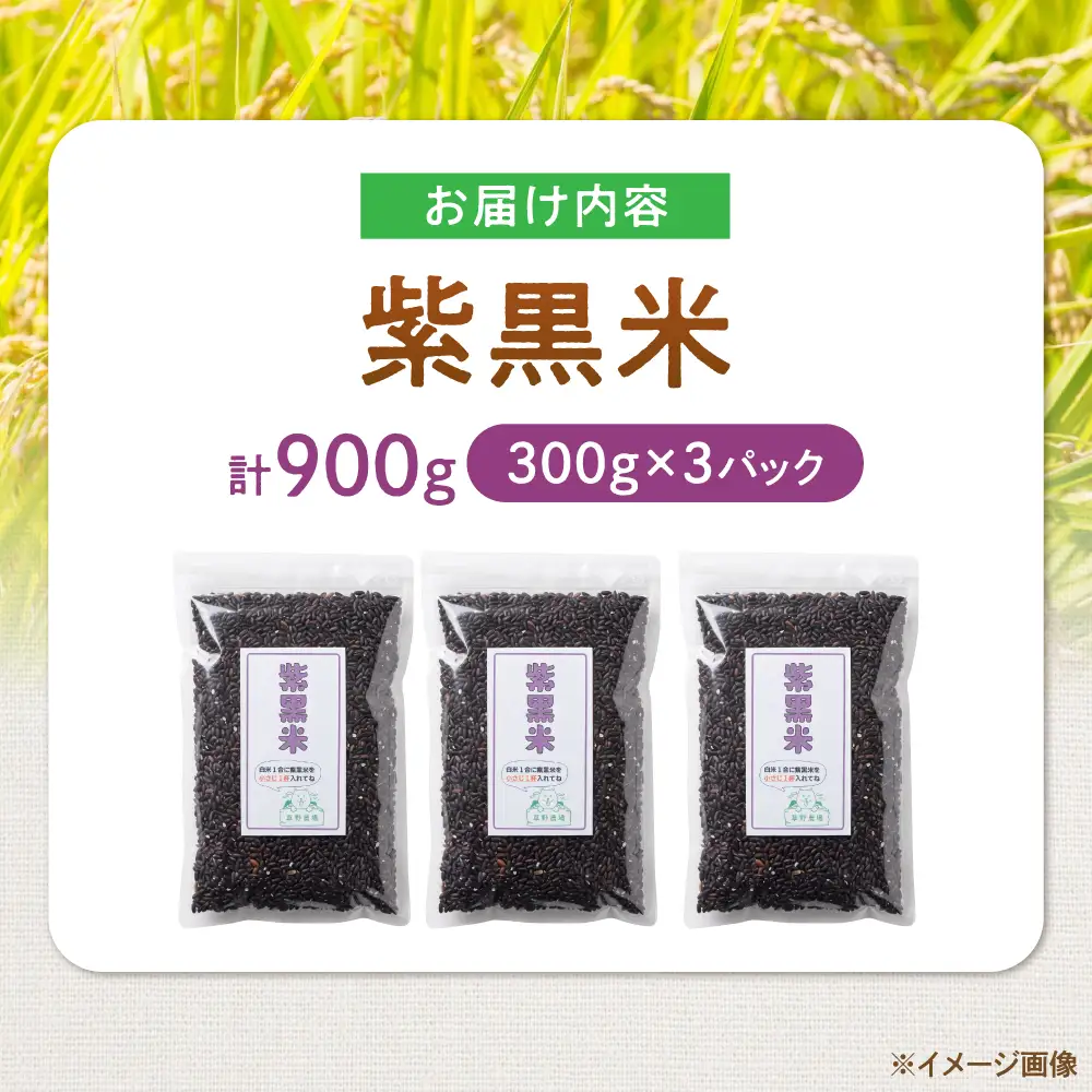 紫黒米 900g（300g×3） 滋賀県長浜市/草野農場[AQDT020]