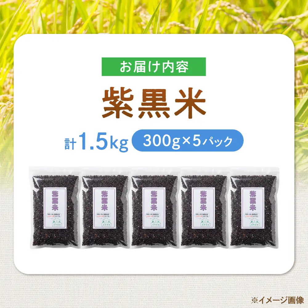 紫黒米 1.5kg（300g×5） 滋賀県長浜市/草野農場[AQDT021]