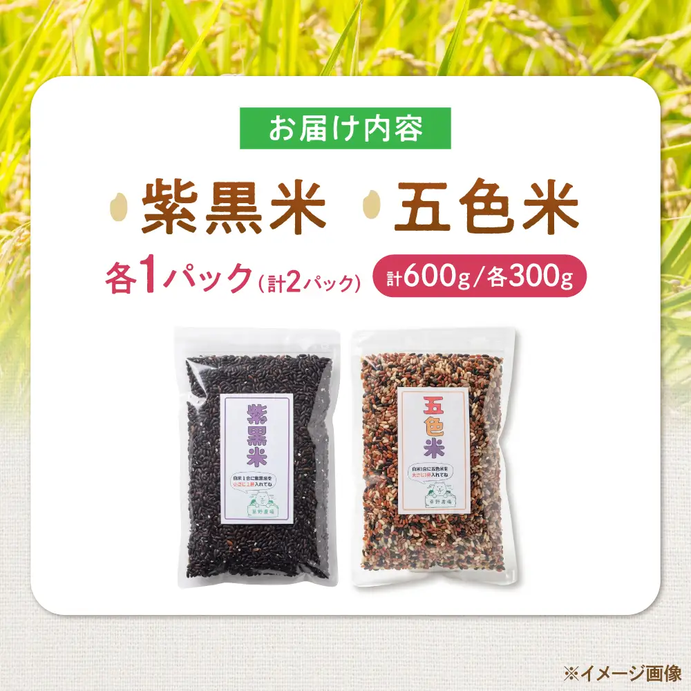 五色米＆紫黒米 古代米食べ比べセット（各1セット） 滋賀県長浜市/草野農場[AQDT022]