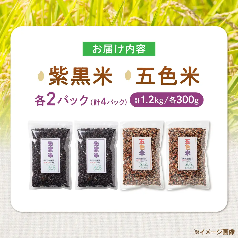 五色米＆紫黒米 古代米食べ比べセット（各2セット） 滋賀県長浜市/草野農場[AQDT023]
