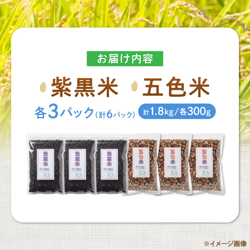 五色米＆紫黒米 古代米食べ比べセット（各3セット） 滋賀県長浜市/草野農場[AQDT024]