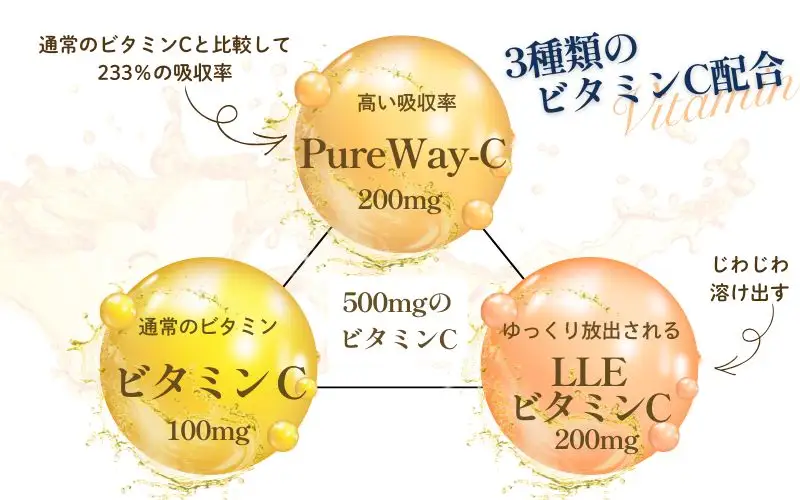 ビタミンCサプリメント300日分（60日分×5袋） 甘味料不使用 保存料無添加 ／ ビタミンC 美容 カプセル 健康 健康食品 サプリ サプリメント 吸収率 濃縮 【cgiy0008】