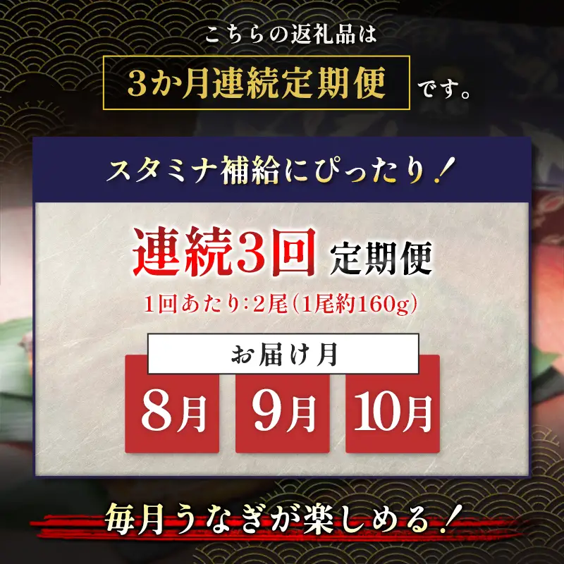 うなぎ 蒲焼 定期便 ＜計3回＞ 鰻 2尾 （計960g） 国産 ウナギ 3か月 連続 人気 ギフト 贈答品 おすすめ 小分け 宮崎県 高鍋町 名物【MR-g-008】