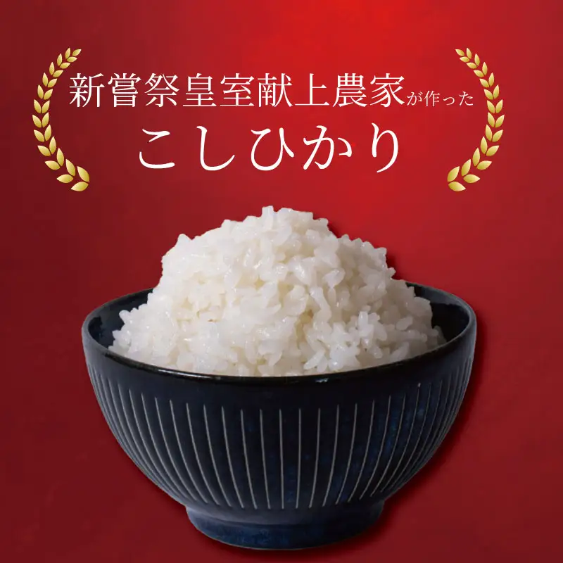 【令和8年産】 新米 定期便 5kg×6回 コシヒカリ 新米 AS019