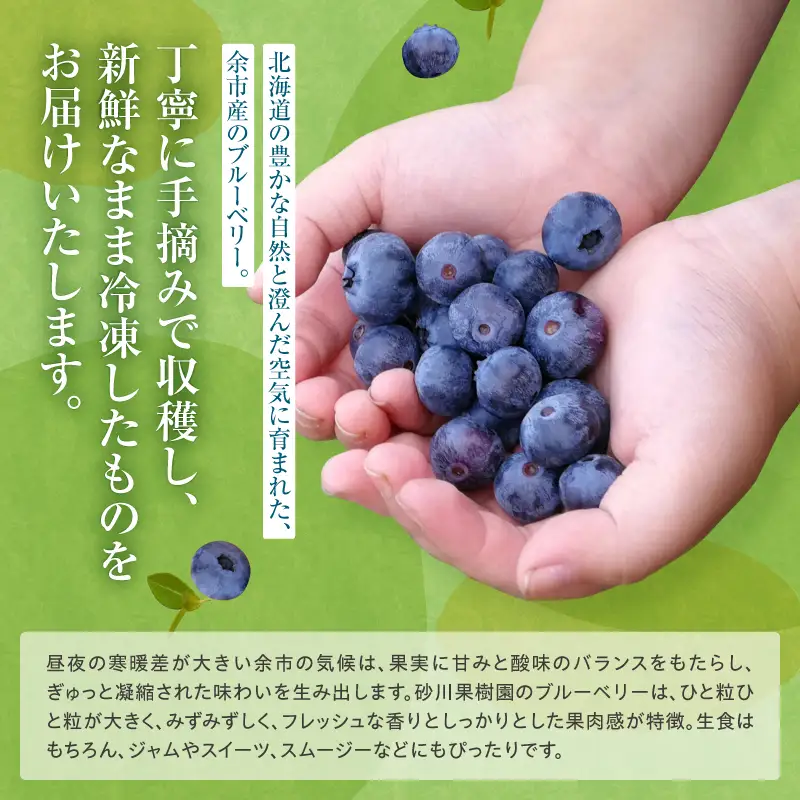 余市の砂川果樹園が贈る 冷凍ブルーベリー1Kg_Y033-0041