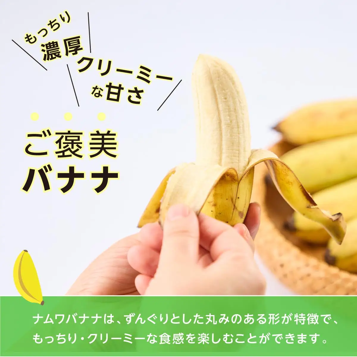 ナムワバナナ　1kg　定期便12回