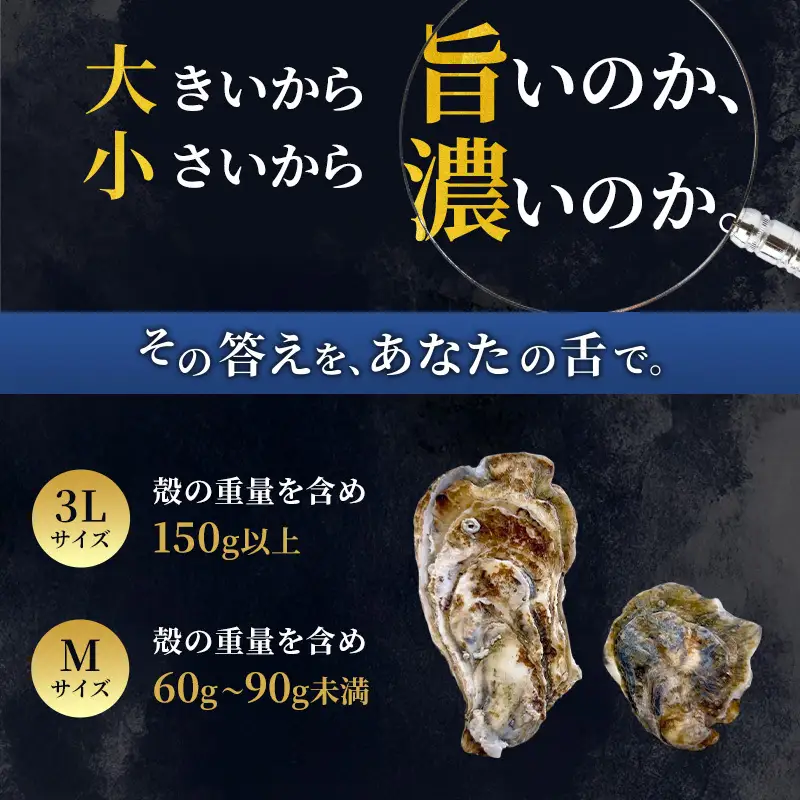 厚岸産牡蠣 マルえもん 3L・M 食べ比べ 各12個 牡蠣