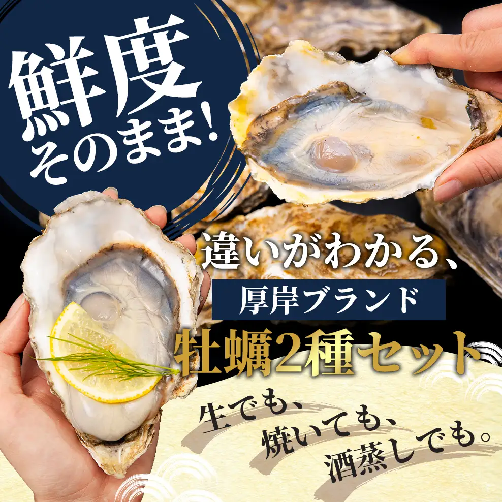 北海道 厚岸産 ブランド 殻付牡蠣 食べ比べ 弁天牡蠣 A3サイズ カキえもんLL サイズ 各12個 生食用 [ 牡蠣 カキ かき 生食 生食用 生牡蠣 食べ比べ 魚貝類 ブランド牡蠣 ]