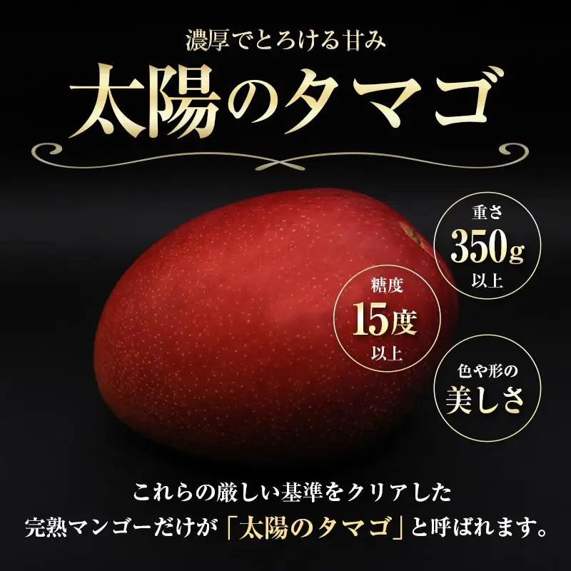 ＜2027年発送＞『太陽のタマゴ』 宮崎 完熟マンゴー 2L×2玉（1玉350～459g） 宮崎県産 トロピカル フルーツ 贈答 お取り寄せ 果物 旬