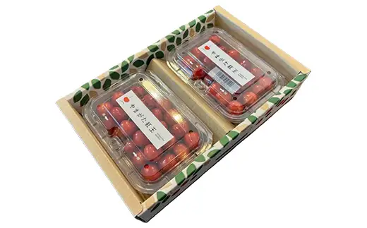 《先行予約》【令和9年産】山形県産さくらんぼ やまがた紅王 秀品 “Lサイズ” 約360g(約180g×2P) フードパック詰め サクランボ 果物 フルーツ チェリー F4A-1036