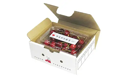 《先行予約》【令和9年産】山形県産さくらんぼ やまがた紅王 秀品 “Lサイズ” 約180g×1P フードパック詰め サクランボ 果物 フルーツ チェリー F4A-1037