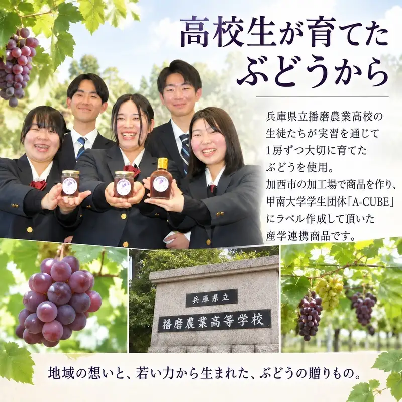 ぶどう加工品セット ジャム コンポート フルーツソース ぶどう加工品セット【3種各2本 計6本】