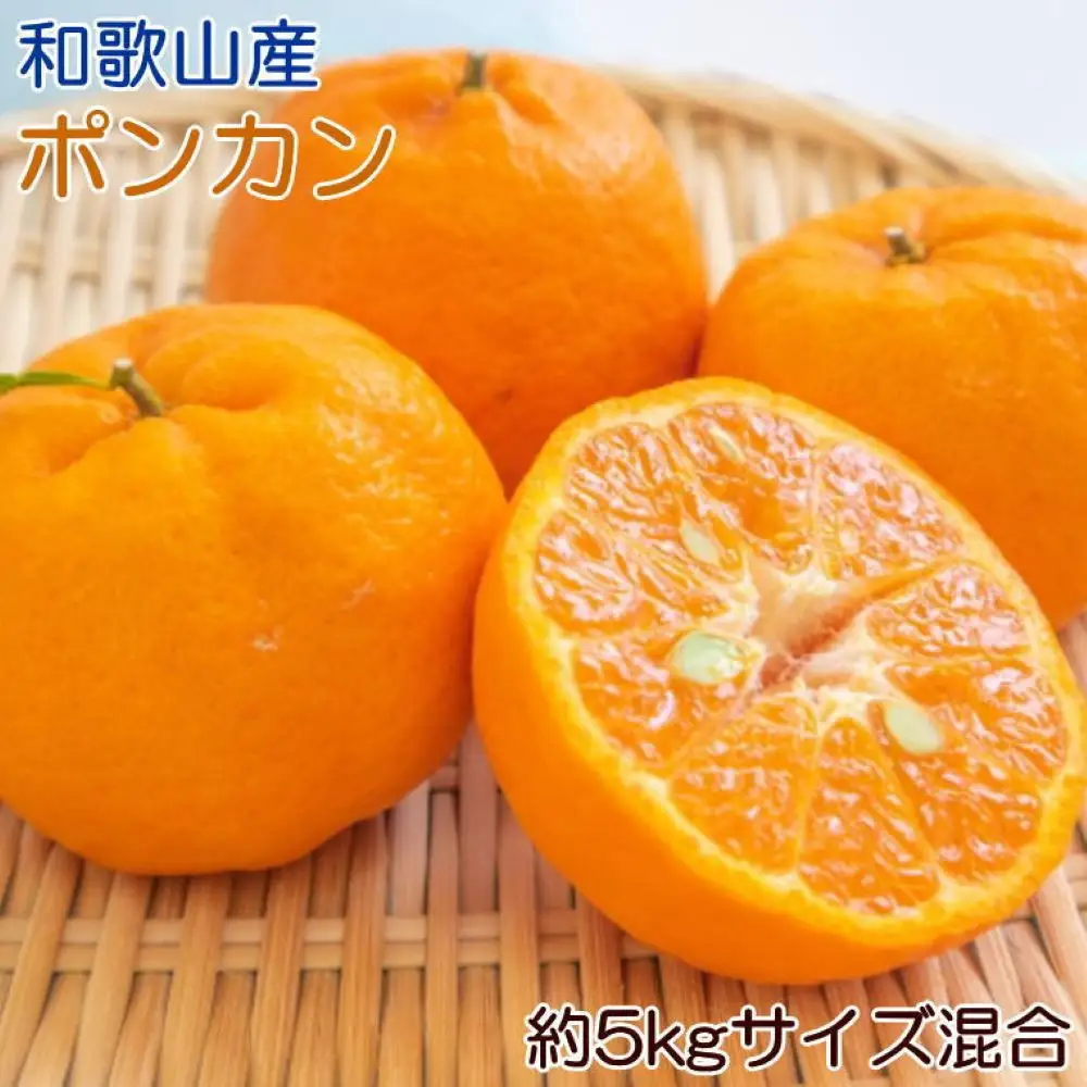 定期便 全3回 【2月・3月・4月発送】和歌山の春のフルーツ（ポンカン・不知火・まりひめ）［TM259］