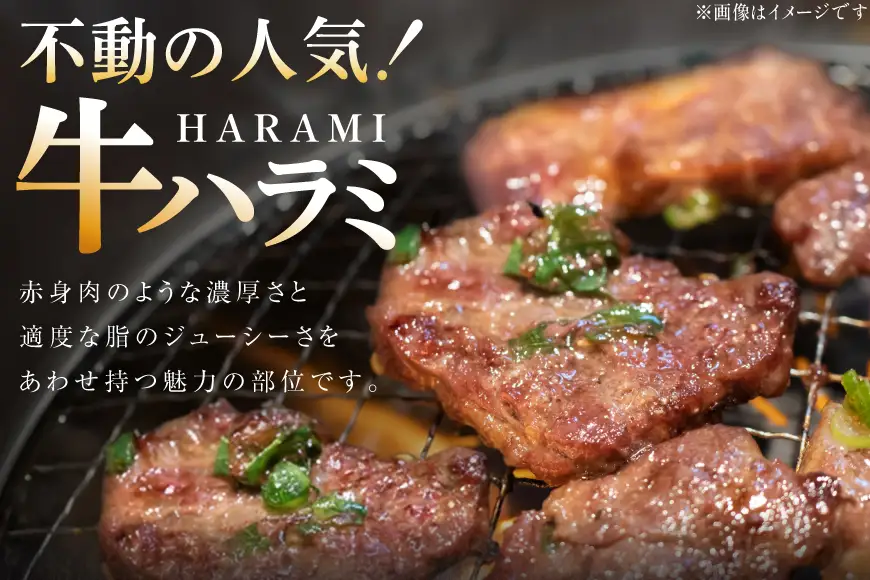 牛肉 味付き 牛ハラミ 300g 3P 計900g 