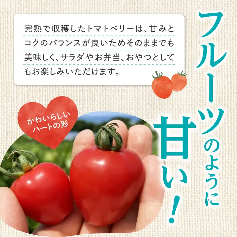 【7月上旬発送】余市町 中野ファーム トマトベリー 1kg トマト_Y026-0014