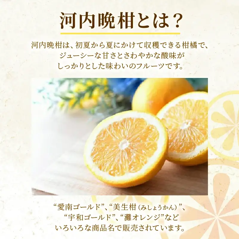 訳あり 河内晩柑 2L サイズ 以上 6玉  (約 3.5kg) サイズミックス 大樹農園