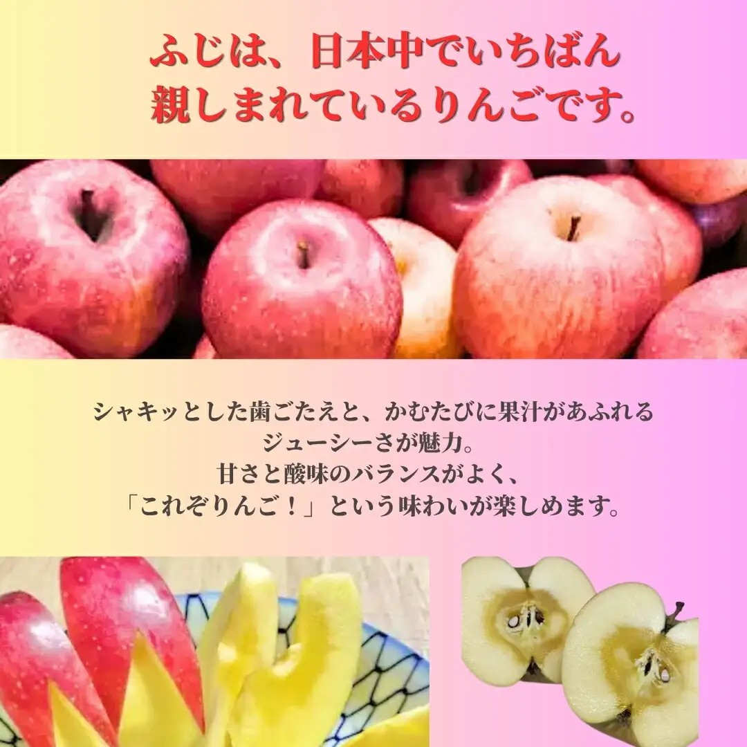 ふじ [お楽しみ用わけあり品] 13 kg~15 kg (30個~50個) 【半蔵農園】 | りんご