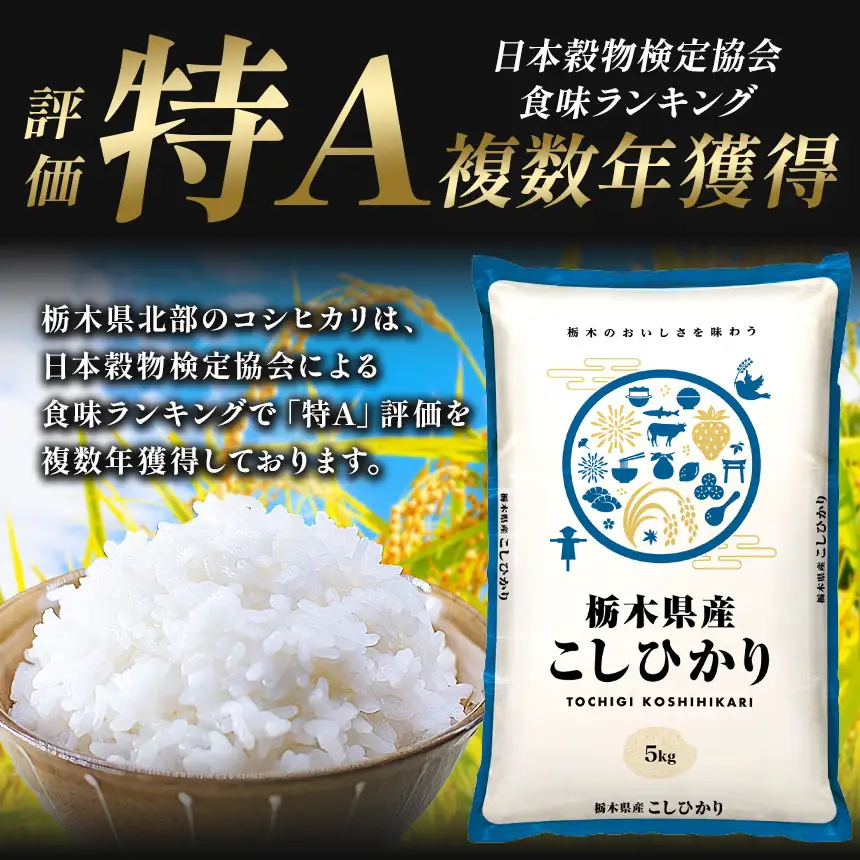 【先行予約】【定期便6回】 ＼無洗米／ 真岡市産コシヒカリ 5kg