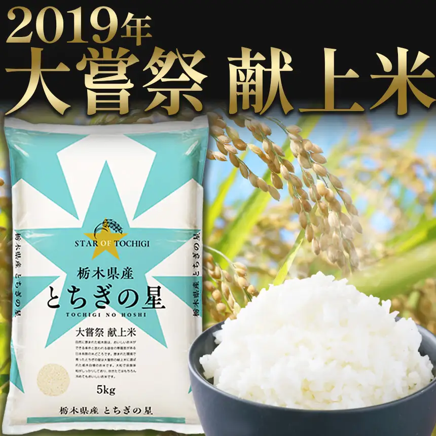 【先行予約】【定期便6回】 ＼白米／ 真岡市産とちぎの星 2kg