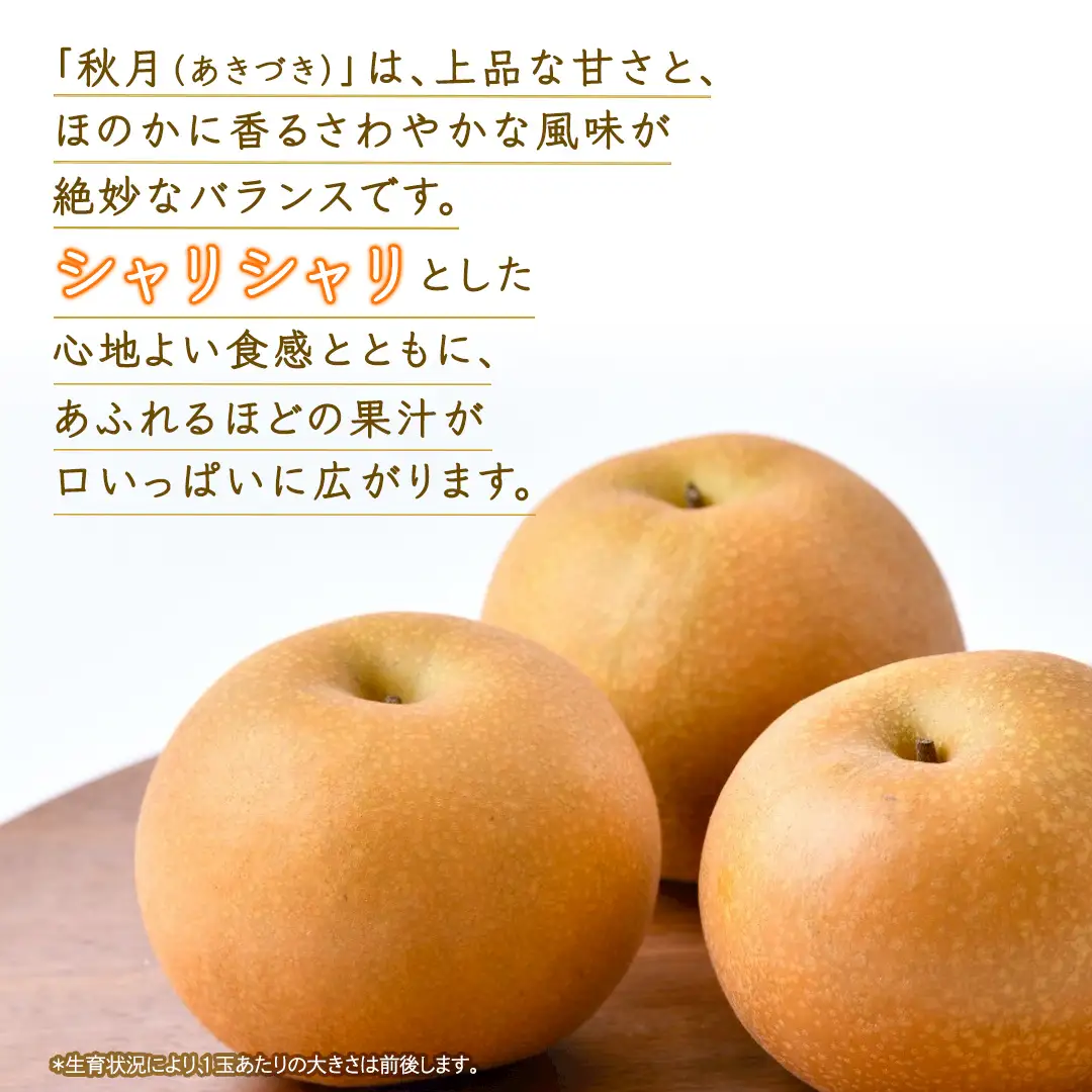 あきづき 梨 約3kg 【2026年10月より発送開始】（茨城県共通返礼品 [梨]：大子町産） 