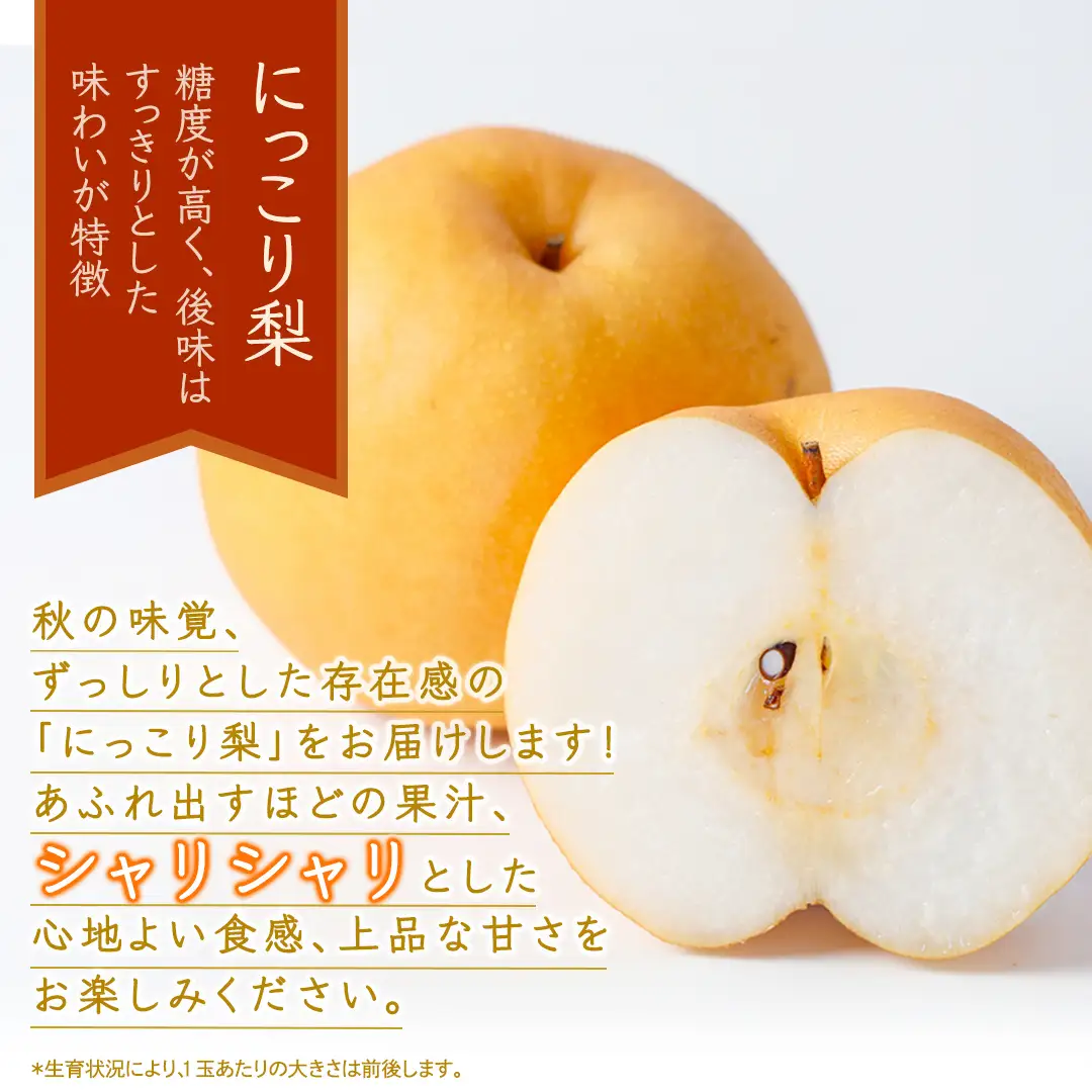 にっこり 梨 約3kg 【2026年10月より発送開始】（茨城県共通返礼品 [梨]：大子町産）