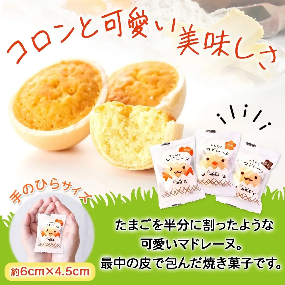 胡蝶庵　うみたてマドレーヌ　15個セット