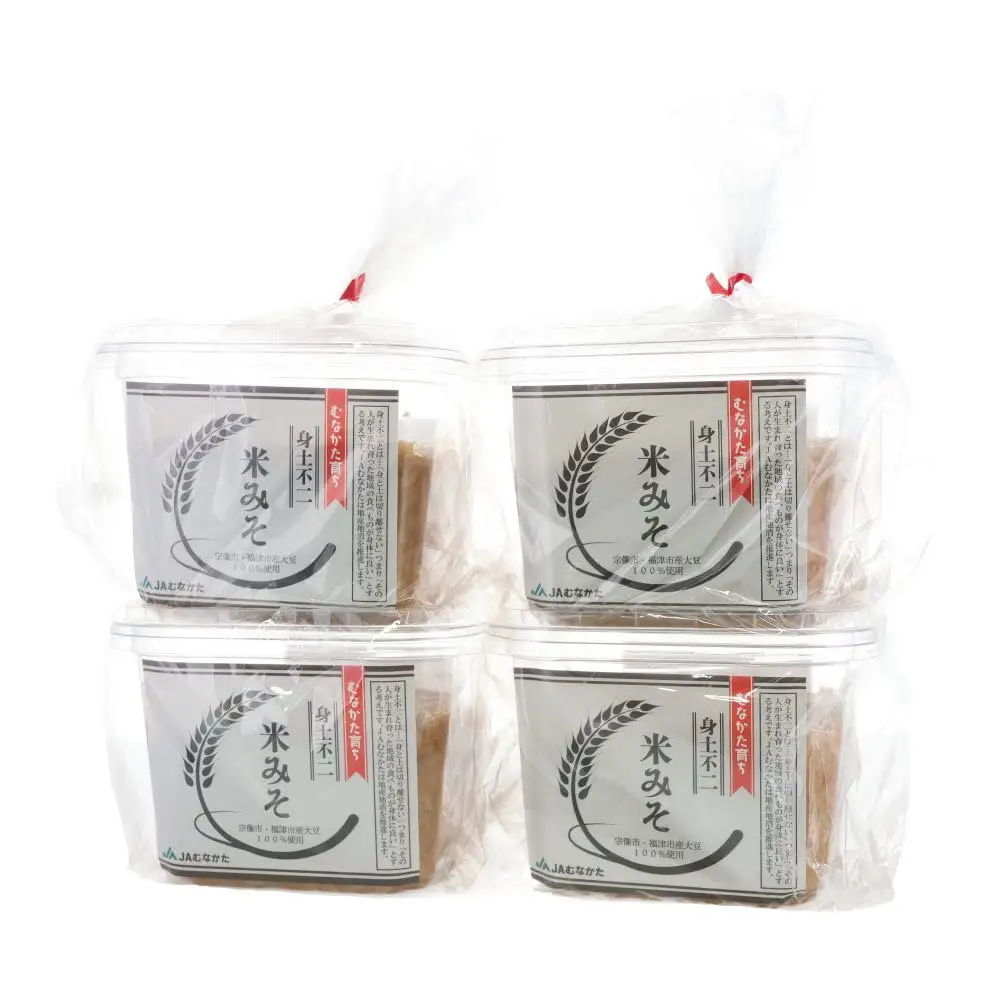 米みそ600g×4【JAむなかた直販課】_HA2003 味噌 みそ 米味噌 無添加 発酵 福岡県宗像市 宗像市 福岡 宗像