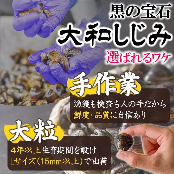 小川原湖産 大和しじみ (冷凍) (150g×8P) 小川原湖 しじみ 冷凍しじみ しじみ貝 国産 青森県産 しじみ汁 冷凍保存 冷凍食品 貝類 【小川原湖漁業協同組合】【ms18-01】