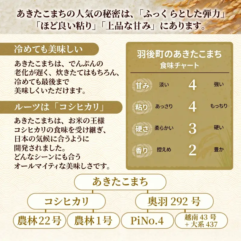 令和8年産 定期便 あきたこまち 20kg 全6回 秋田 米 あきたこまち