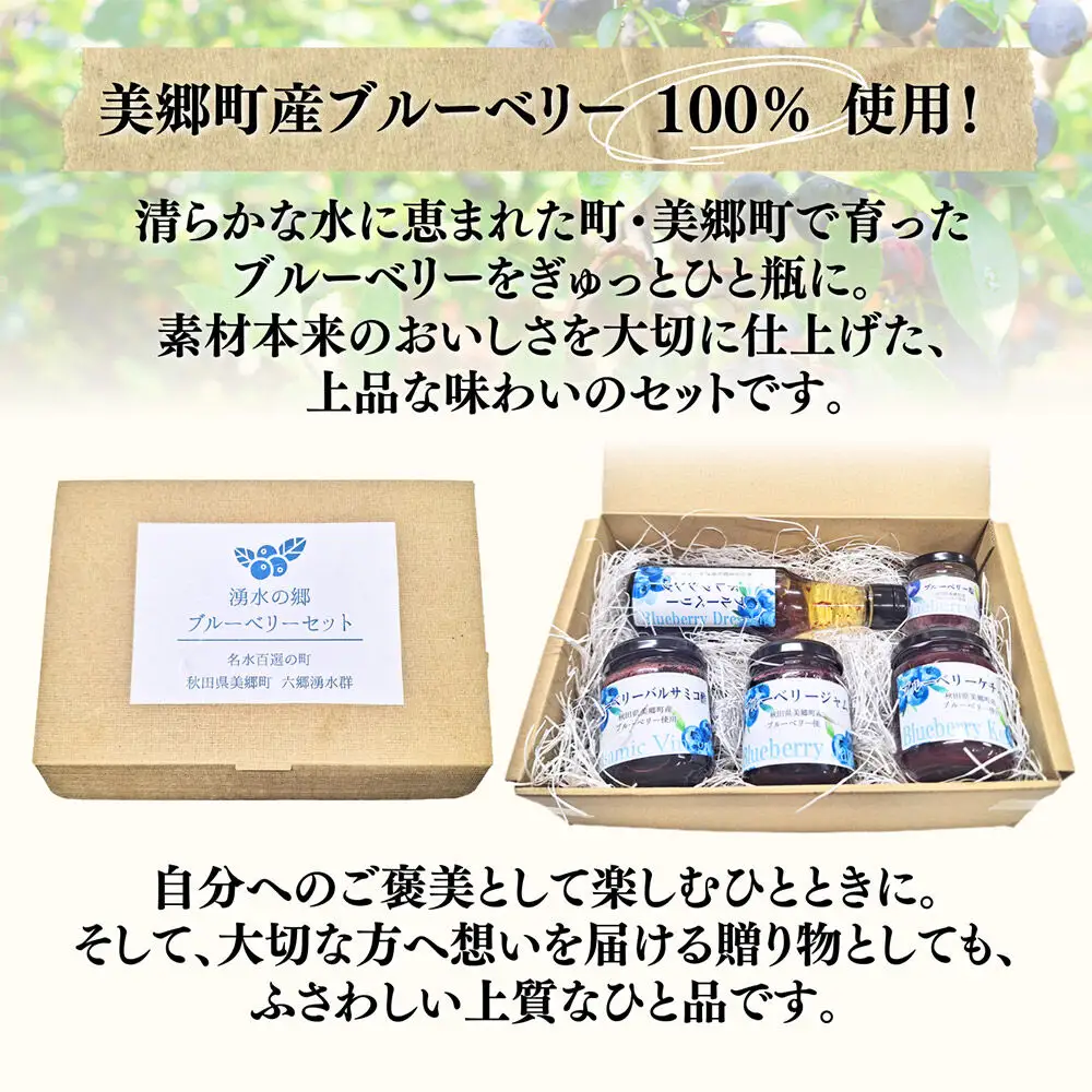 湧水の郷ブルーベリーセット 5点 （バルサミコ酢、ドレッシング、ジャム、ケチャップ、ブルーベリー塩）
