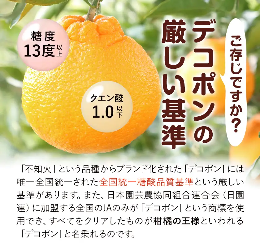 デコポン 3㎏ 日本フルーツ株式会社 デコポン
