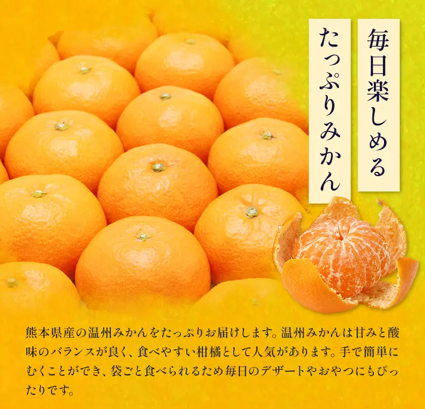 温州みかん 8㎏ 日本フルーツ株式会社 ミカン