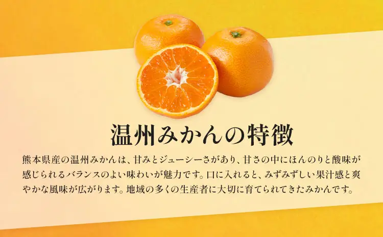 贈答用 温州みかん 約2.5kg 日本フルーツ株式会社 熊本県 荒尾市 《11月上旬-2月中旬頃出荷》 デコポン 果物 秀品 フルーツ スイーツ デザート ギフト ご贈答