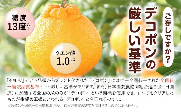 贈答用 デコポン  3kg  日本フルーツ株式会社 熊本県 荒尾市 《12月中旬-4月中旬頃出荷》 デコポン 果物 秀品 フルーツ スイーツ デザート ギフト ご贈答